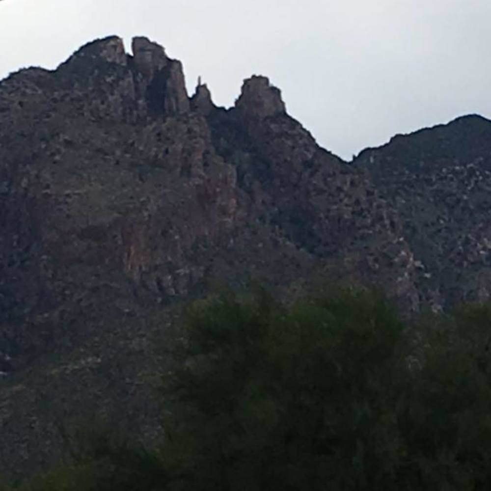 Meet your Posher, Marlene